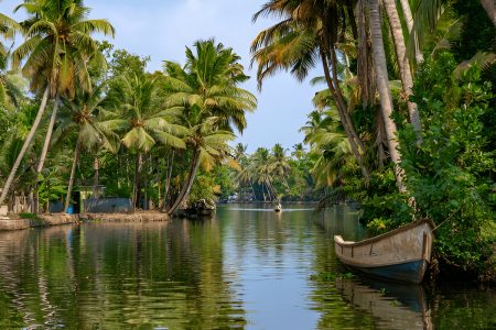 Munnar 2n –Alleppey-1N